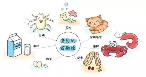 世界过敏性疾病日|关注严重过敏反应，科学防治过敏，关爱过敏儿童