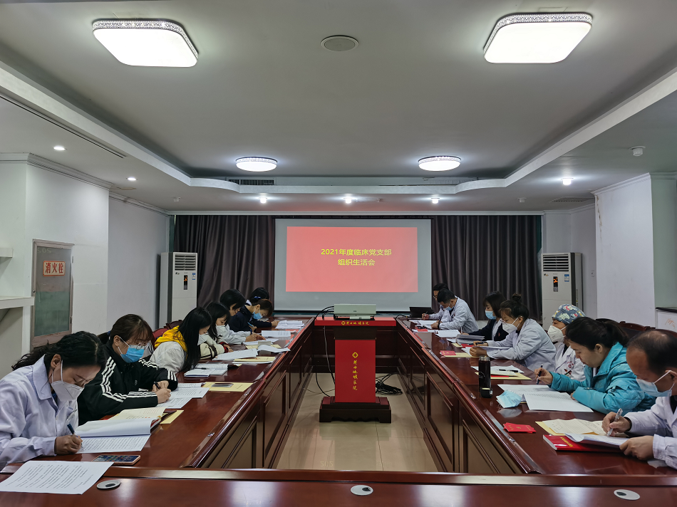 陕西地矿医院临床党支部组织生活会