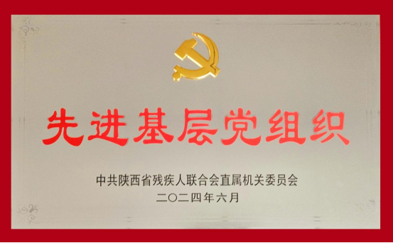 喜报——陕西省第二康复医院党委荣获省残联“先进基层党组织”称号