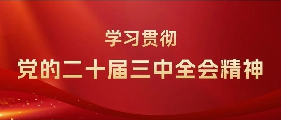 二十届三中全会《决定》学习问答（五）