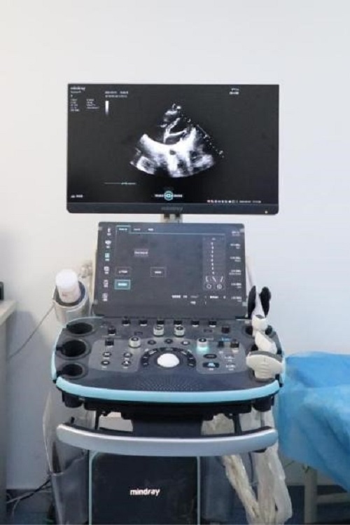 161752630512171192.jpg 图片3.jpg